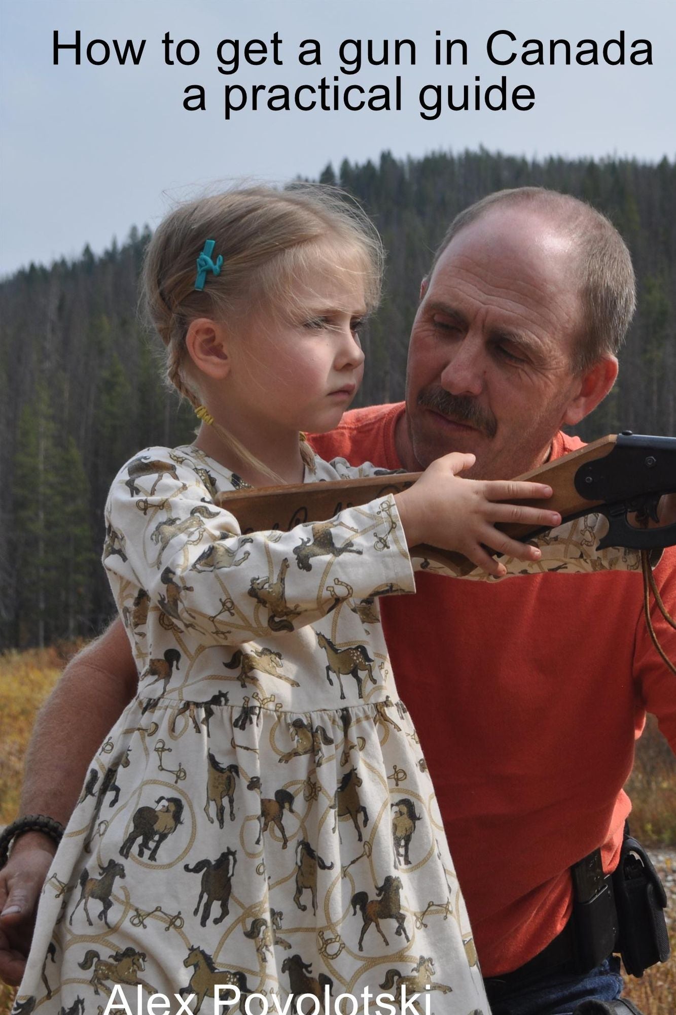 How to Get a Gun in Canada: A Practical Guide