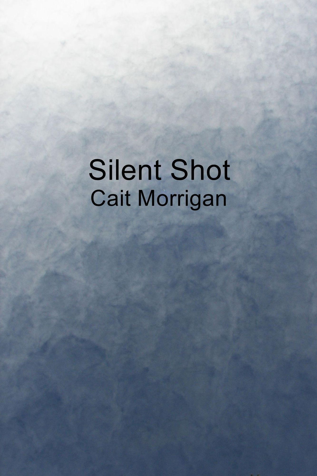 Silent Shot