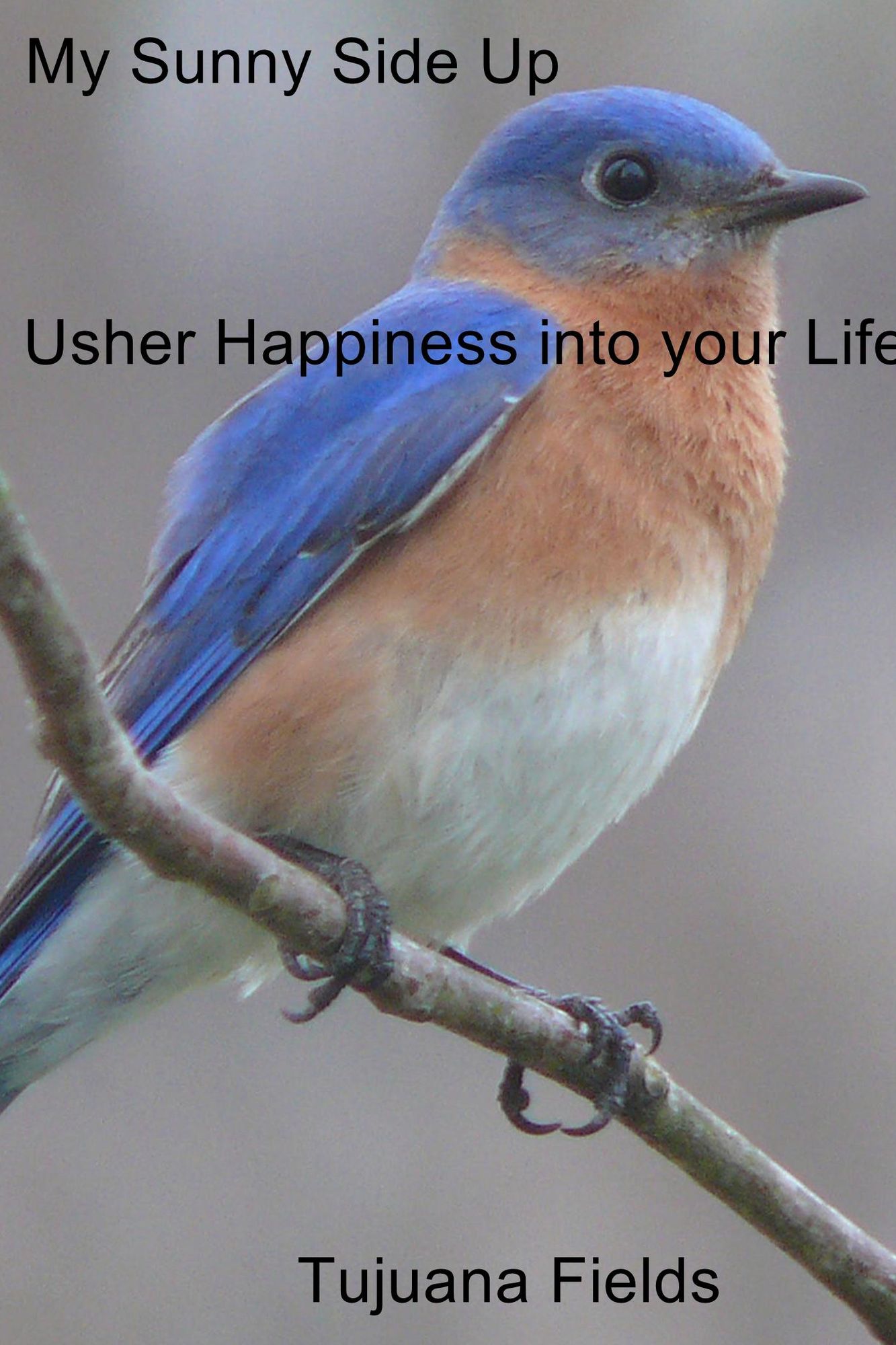 My Sunny Side Up: Usher Happiness into Your Life