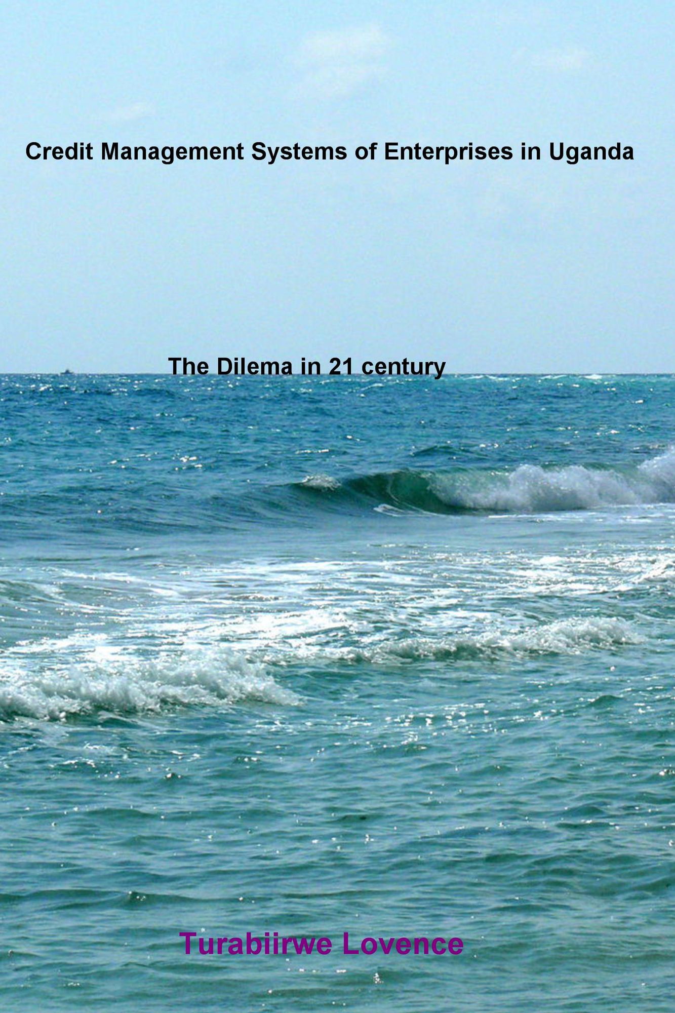 Credit Management Systems of Enterprises in Uganda: The Dilema in 21 Century