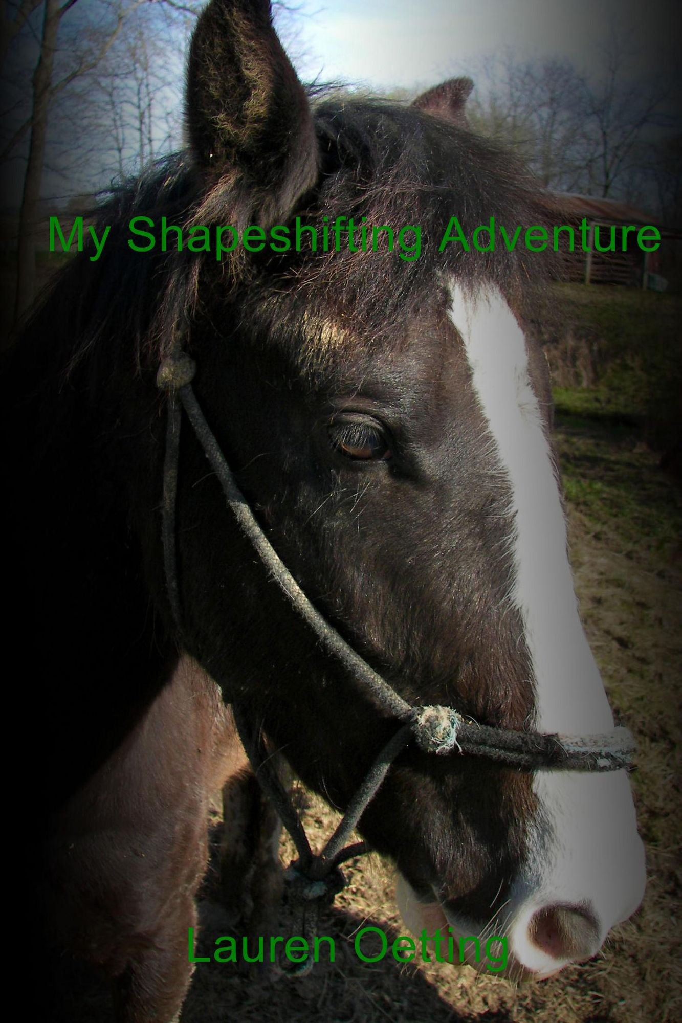My Shapeshifting Adventure