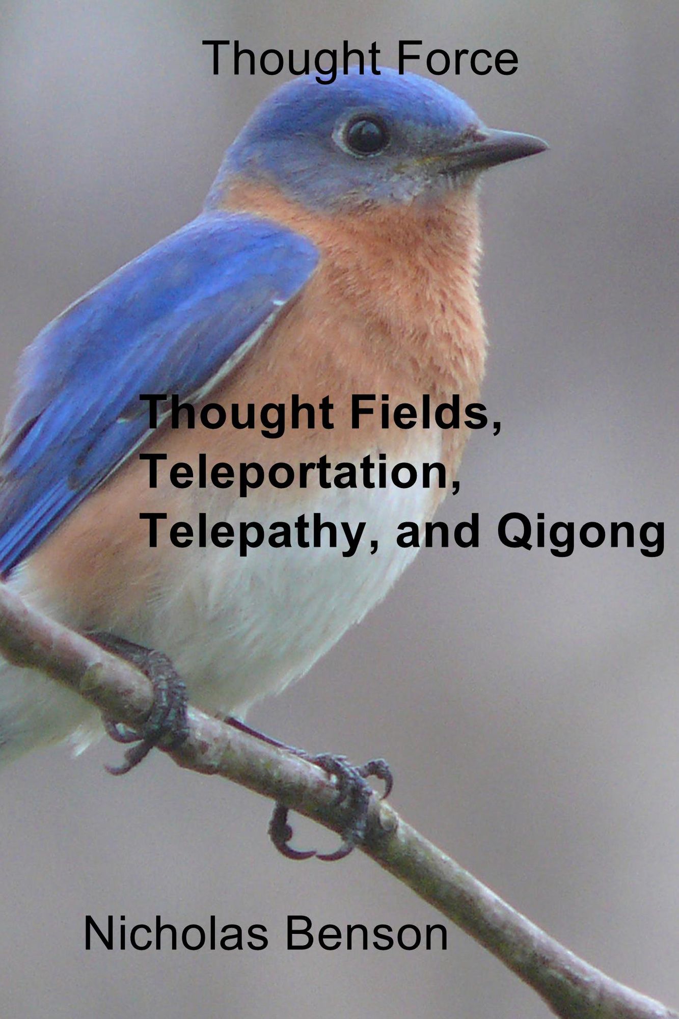 Thought Force: Thought Fields, Teleportation, Telepathy, and Qigong