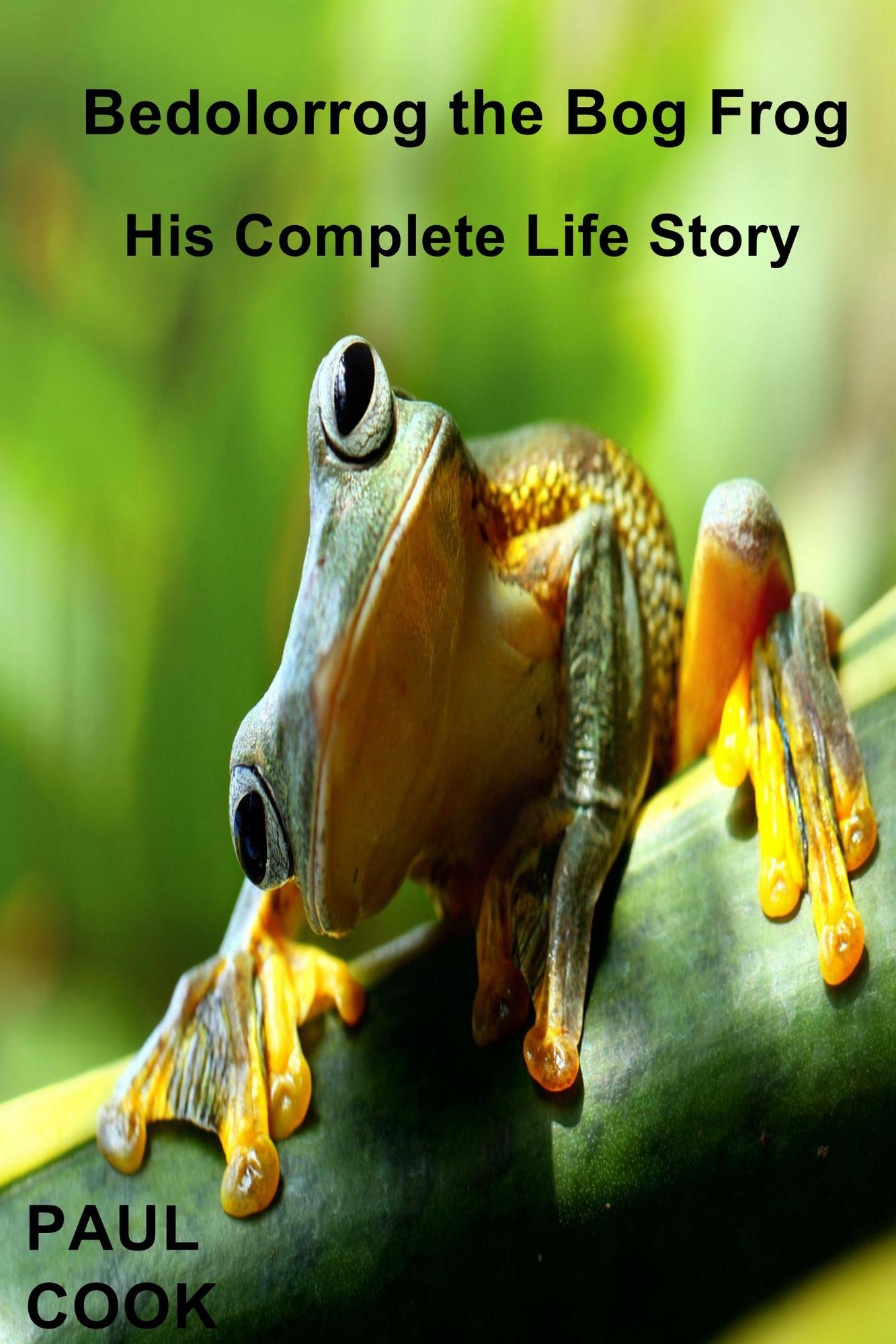 Bedolorrog the Bog Frog: His Complete Life Story