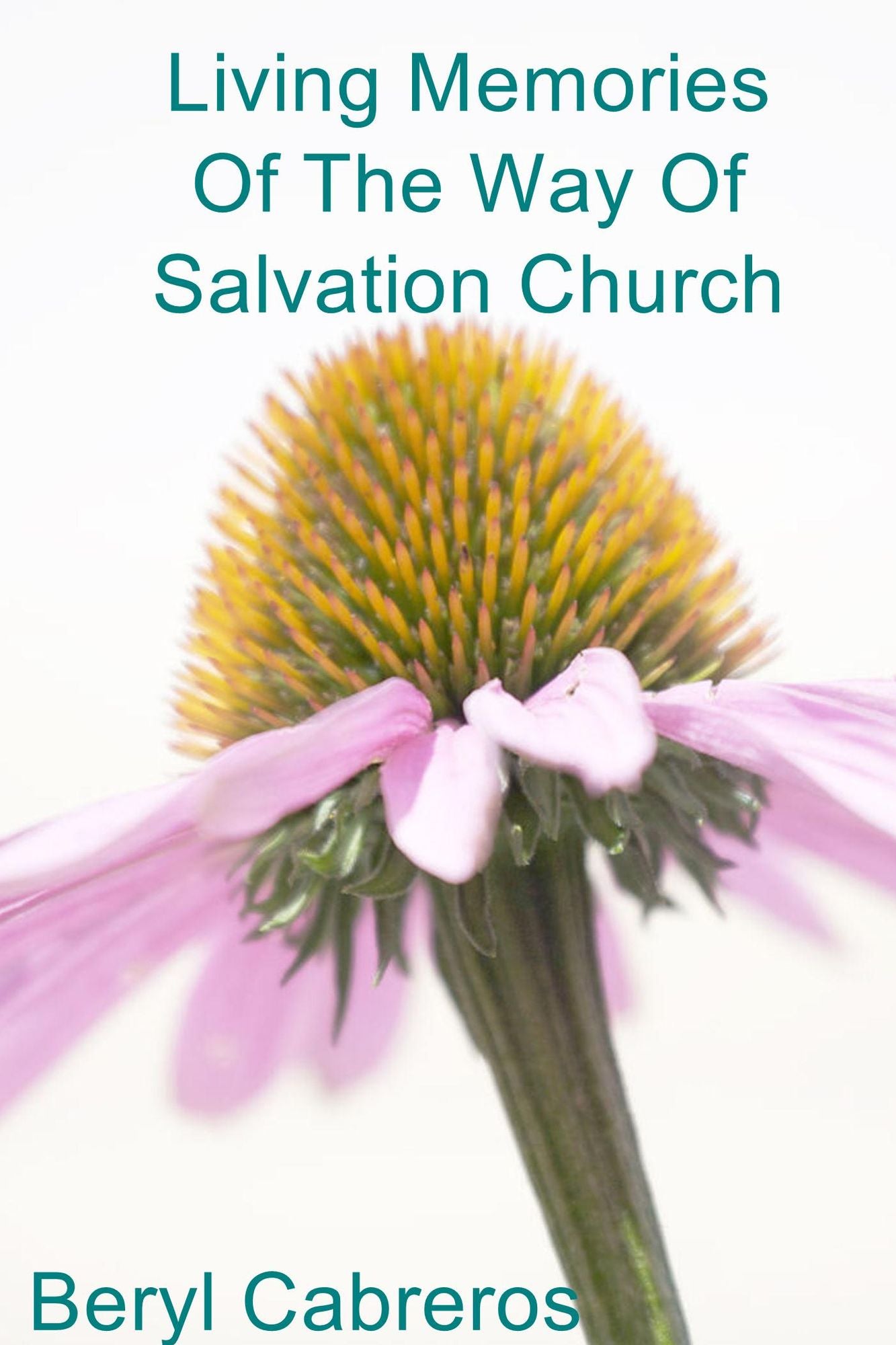 Living Memories of the Way of Salvation Church