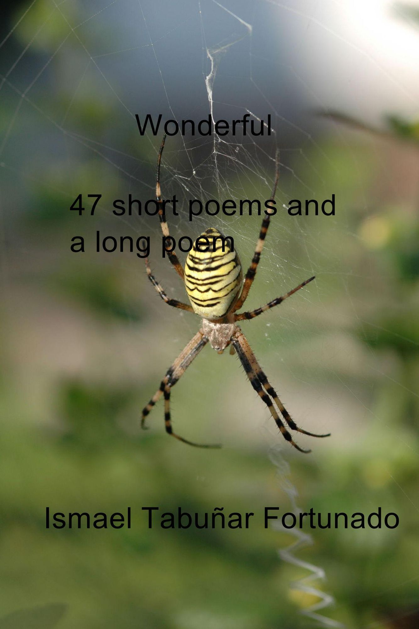 Wonderful: 47 Short Poems and a Long Poem