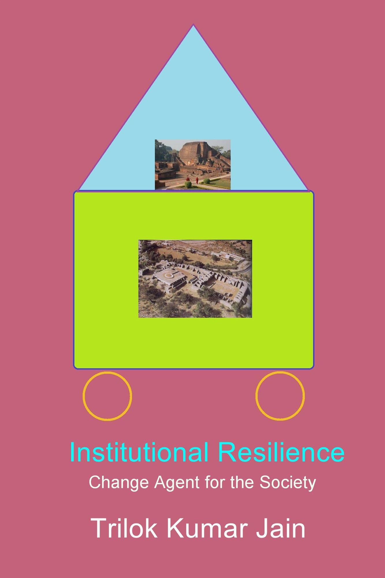 Institutional Resilience: Change Agent for the Society