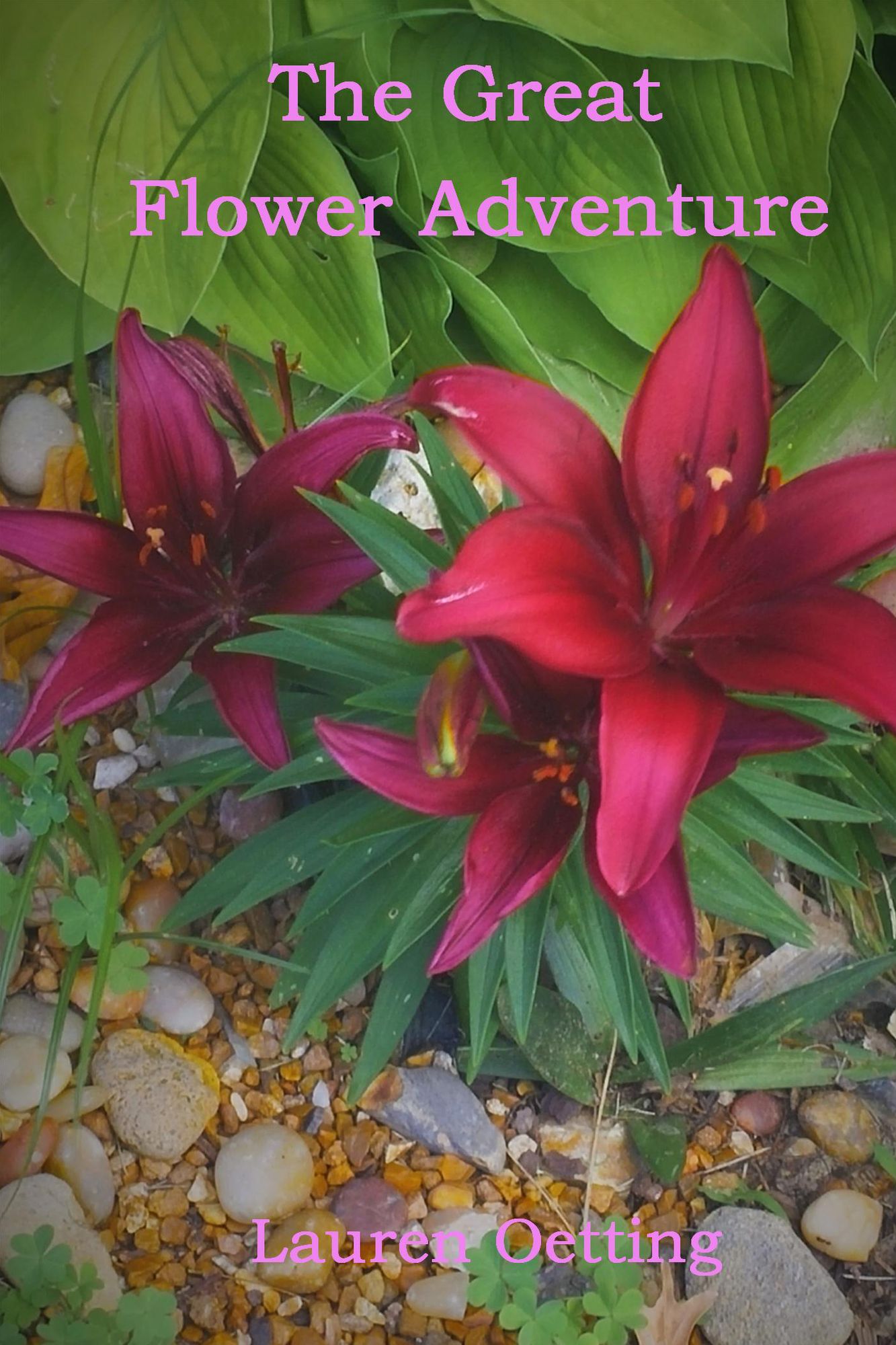 The Great Flower Adventure