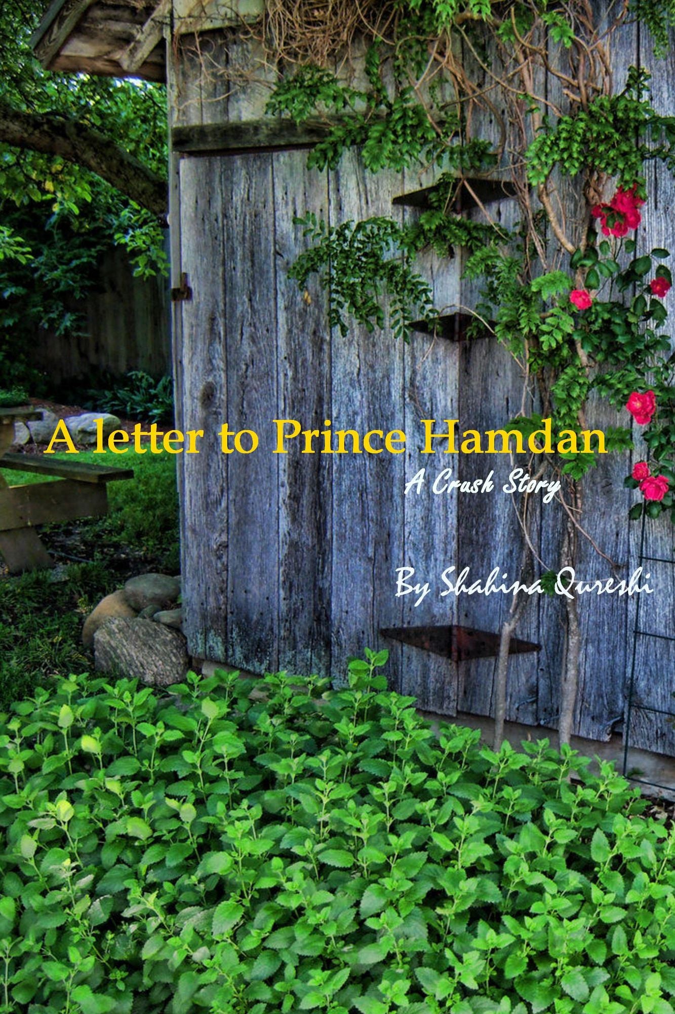 A Letter to Prince Hamdan: A Crush Story