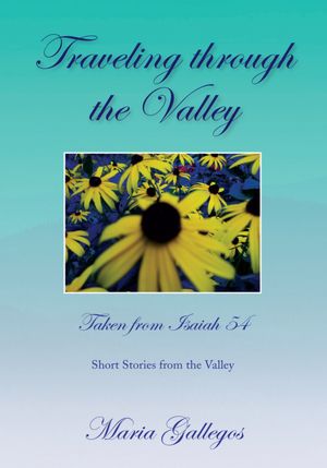 Traveling through the Valley: Short Stories from the Valley