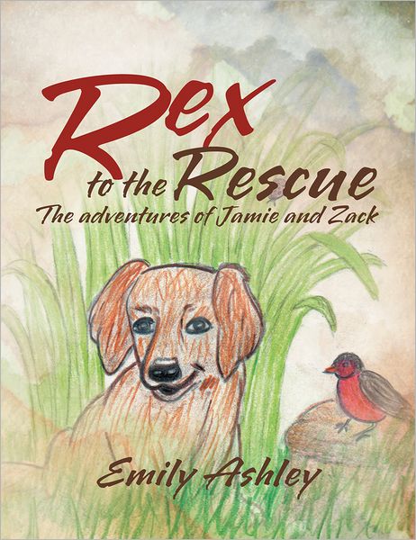 Rex to the Rescue: The adventures of Jamie and Zack