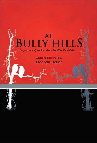 At Bully Hills: Confessions of an American OxyContin Addict
