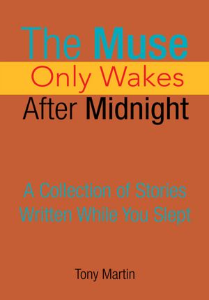 The Muse Only Wakes After Midnight: A Collection of Stories Written While You Slept