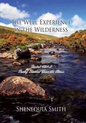 The Well Experience in the Wilderness: Poetry Birthed From the Storm