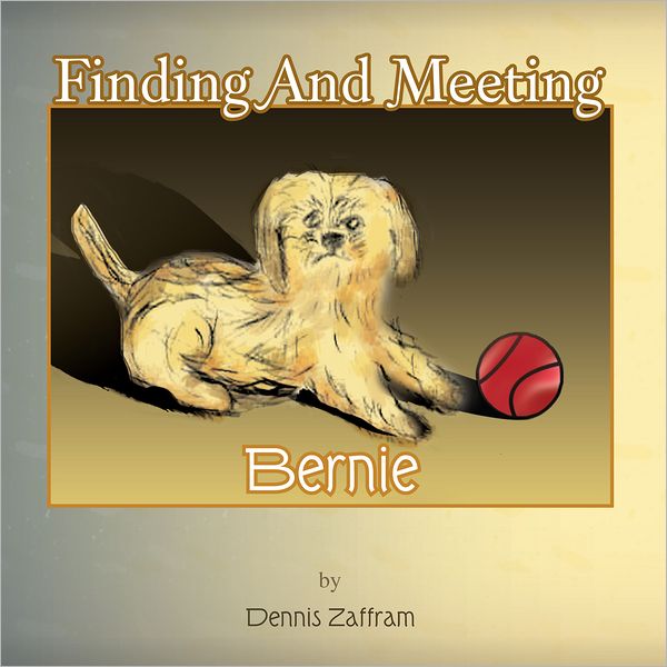 Finding And Meeting Bernie (PagePerfect NOOK Book)
