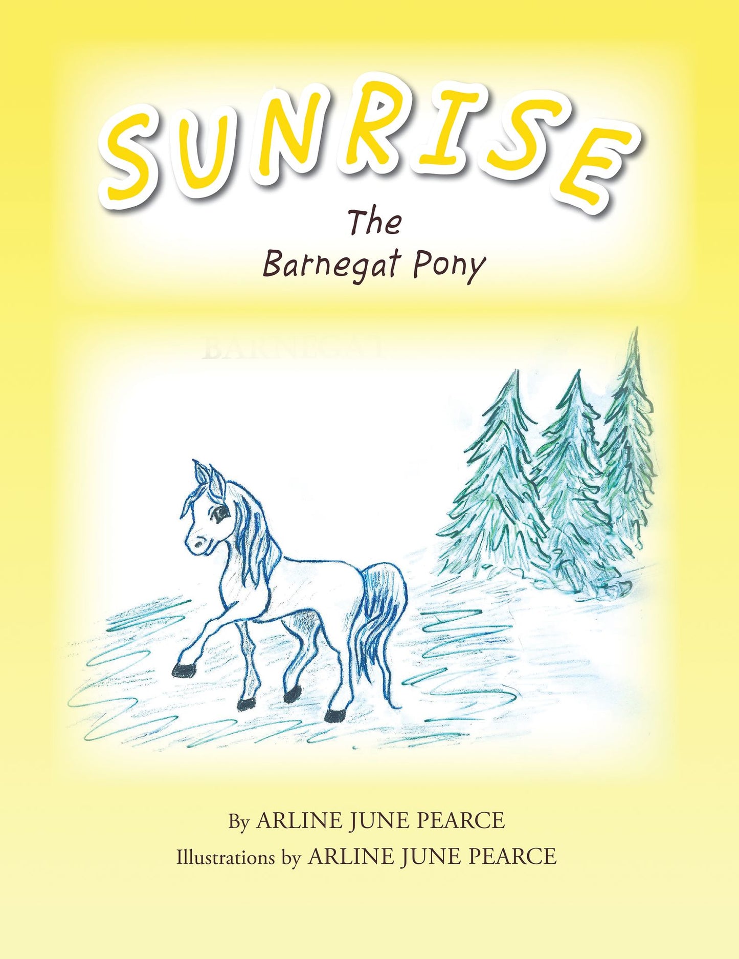 SUNRISE The Barnegat Pony