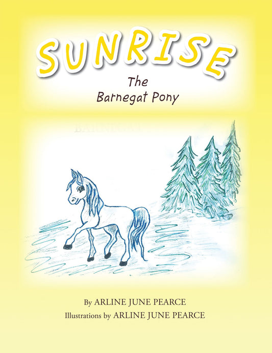 SUNRISE The Barnegat Pony