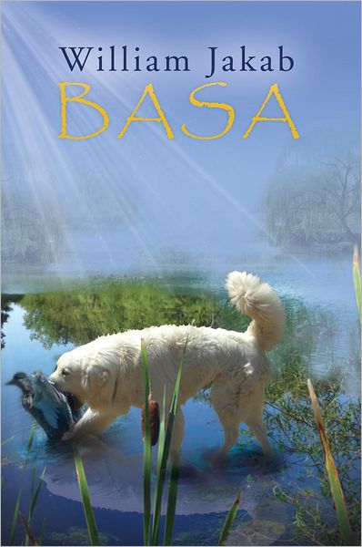 BASA