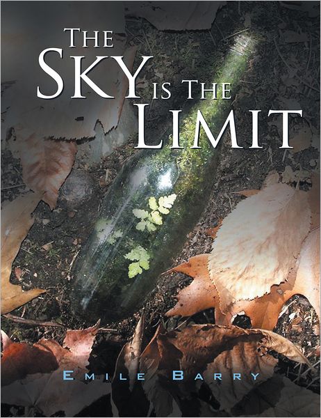 The Sky is The Limit