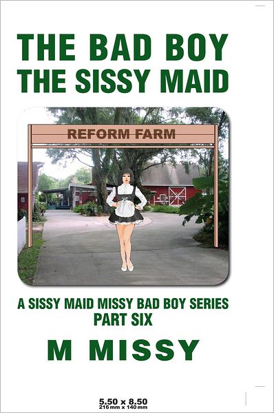 THE BAD BOY, THE SISSY MAID: A SISSY MAID MISSY BAD BOY SERIES, PART SIX