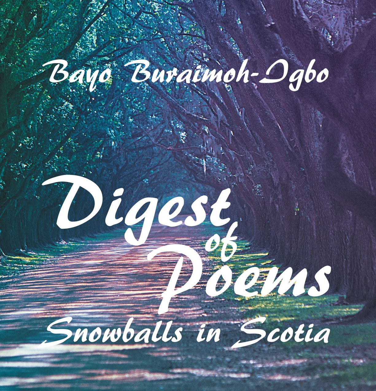 DIGEST OF POEMS: SNOWBALLS IN SCOTIA