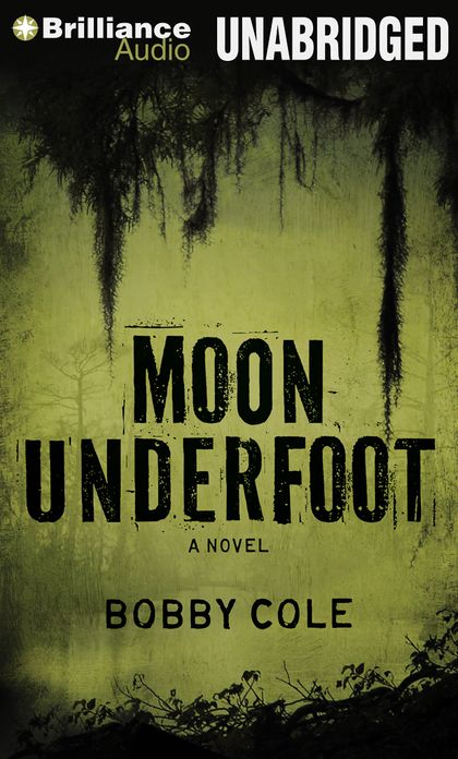 Moon Underfoot