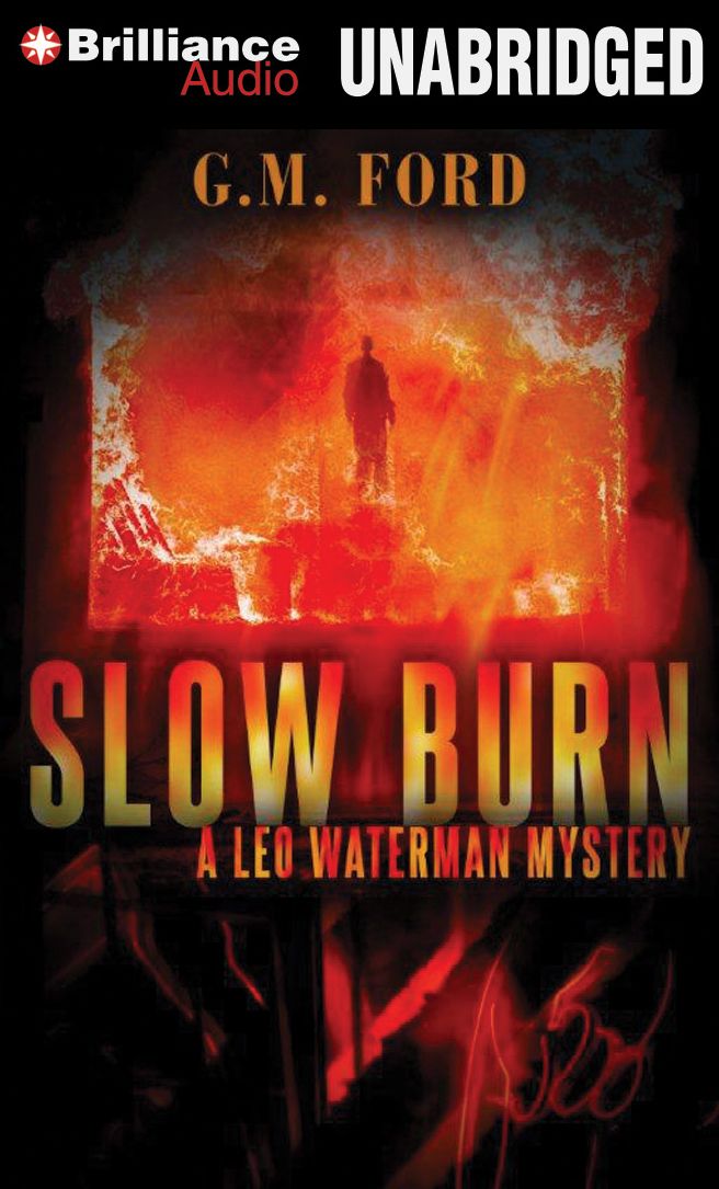 Slow Burn (Leo Waterman Series #4)