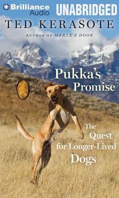 Pukka's Promise: The Quest for Longer-Lived Dogs