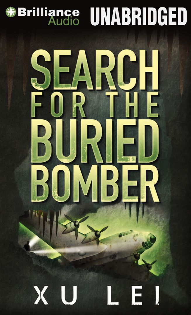 Search for the Buried Bomber