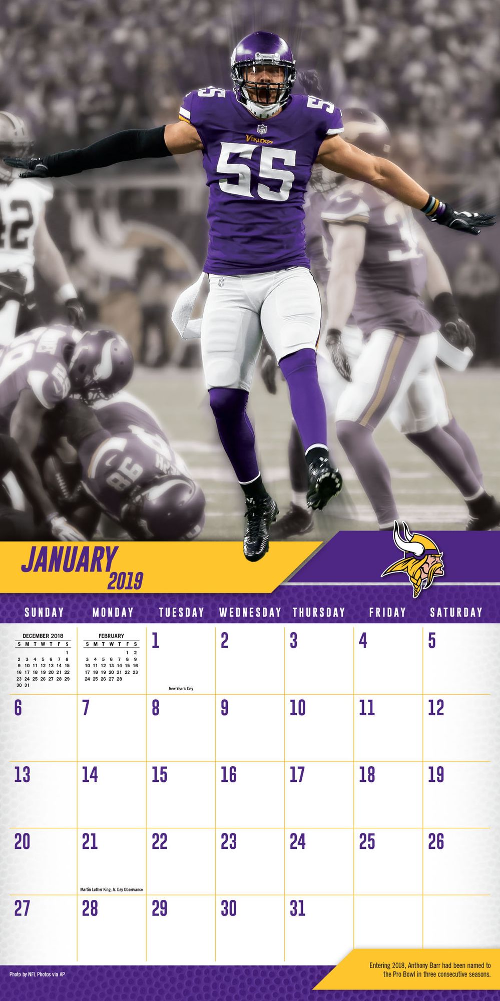Minnesota Vikings 2019 12x12 Team Wall Calendar