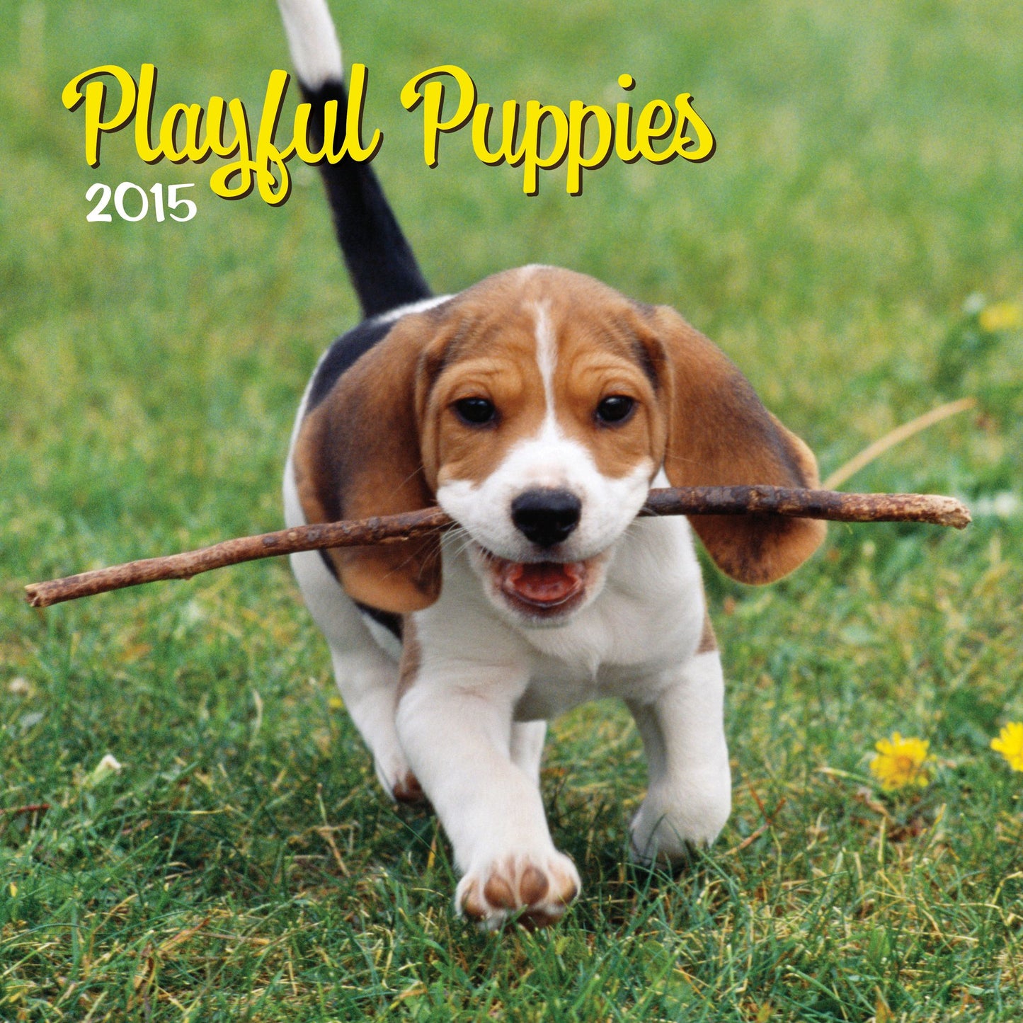 Playful Puppies 2015 Calendar