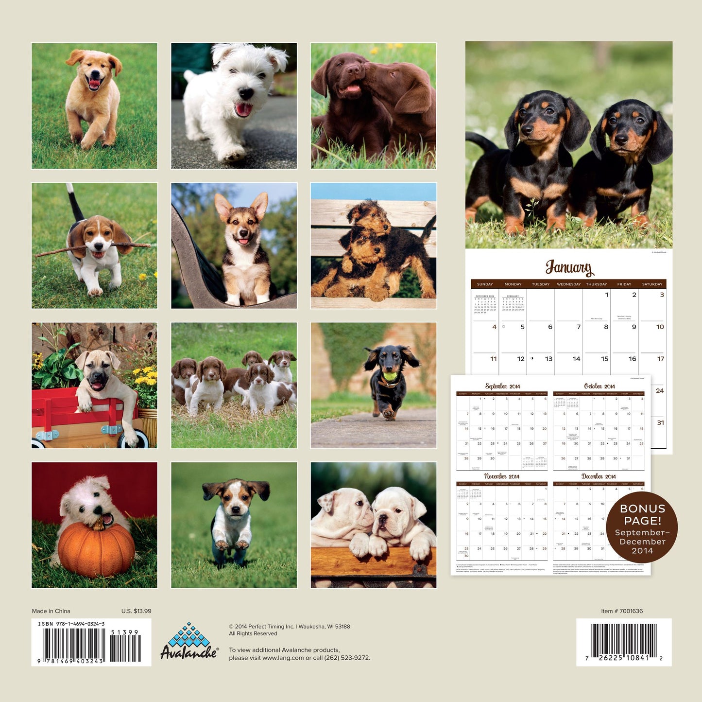 Playful Puppies 2015 Calendar