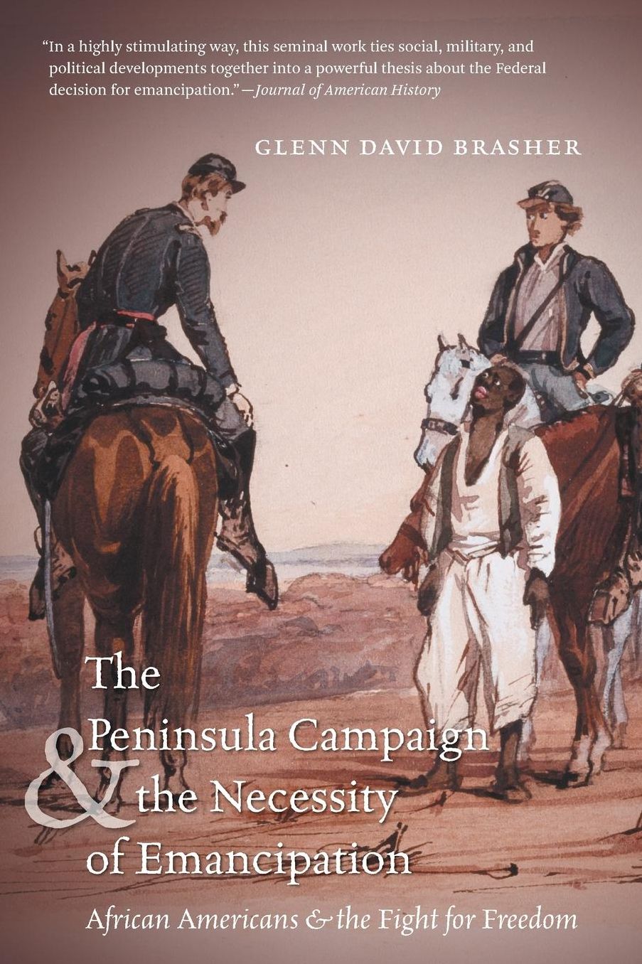 Peninsula Campaign and the Necessity of Emancipation