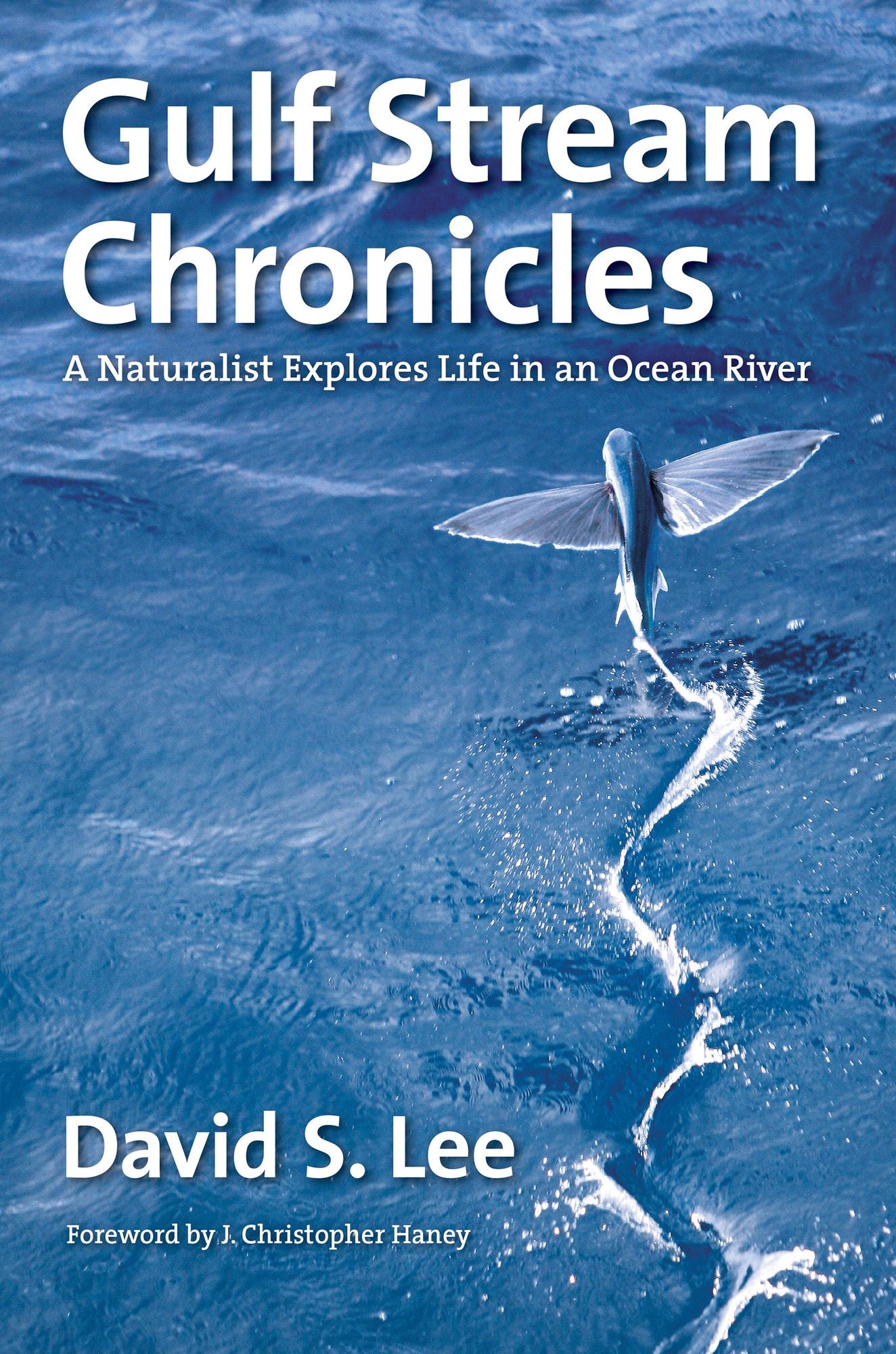 Gulf Stream Chronicles: A Naturalist Explores Life in an Ocean River