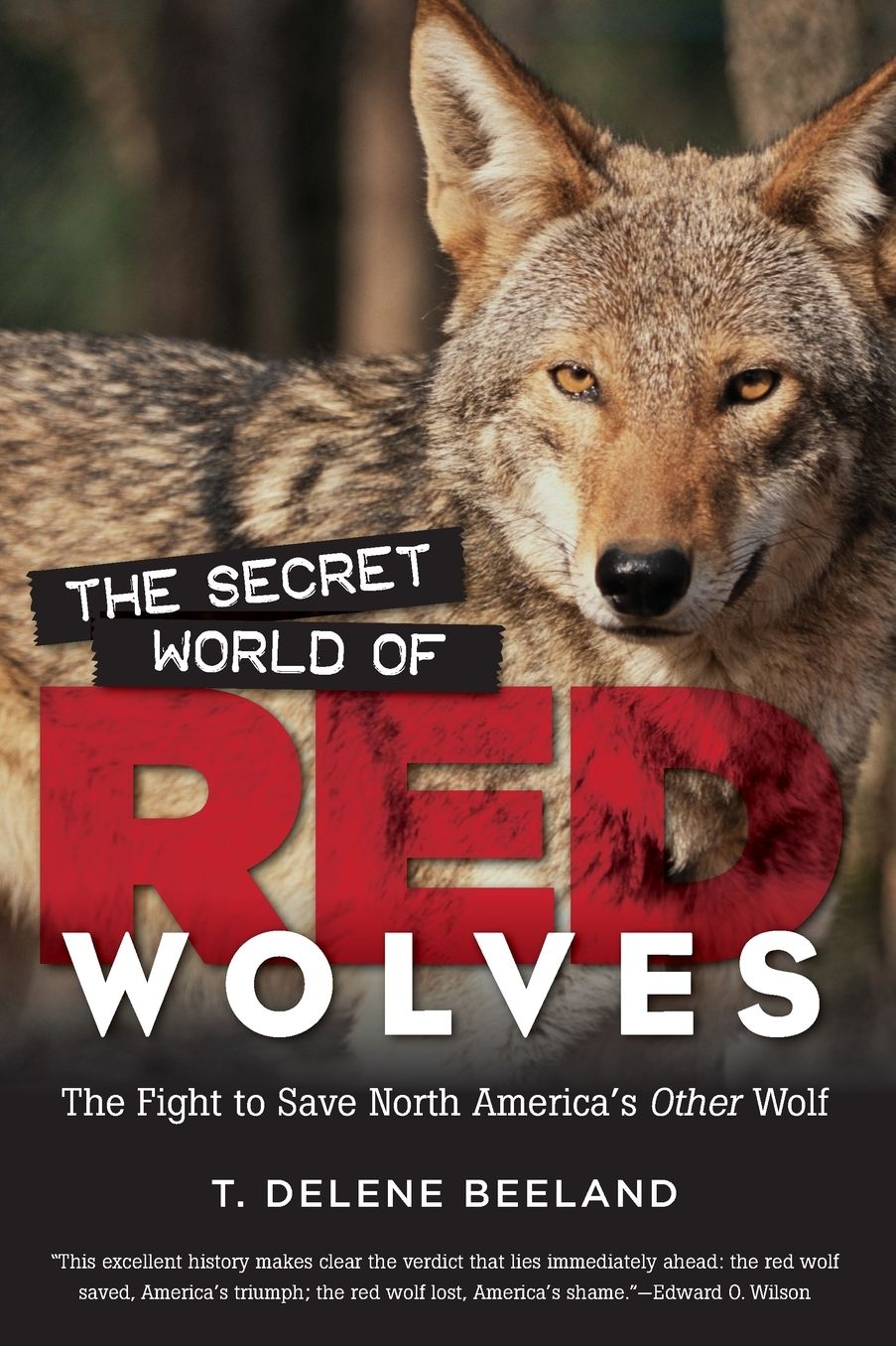 Secret World of Red Wolves: The Fight to Save North America's Other Wolf