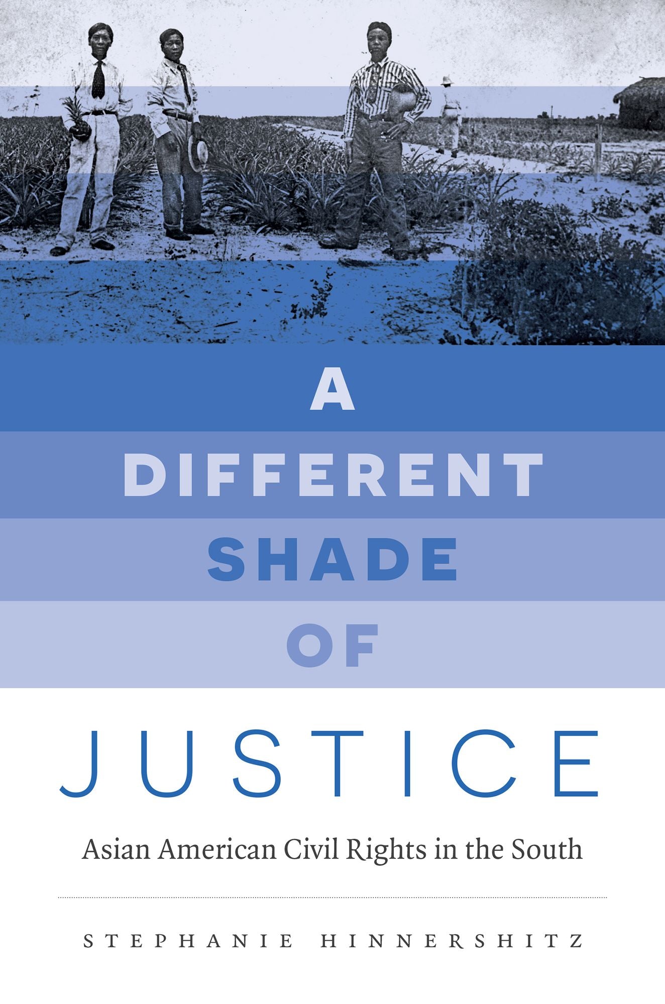 A Different Shade of Justice : Asian American Civil Rights in the South