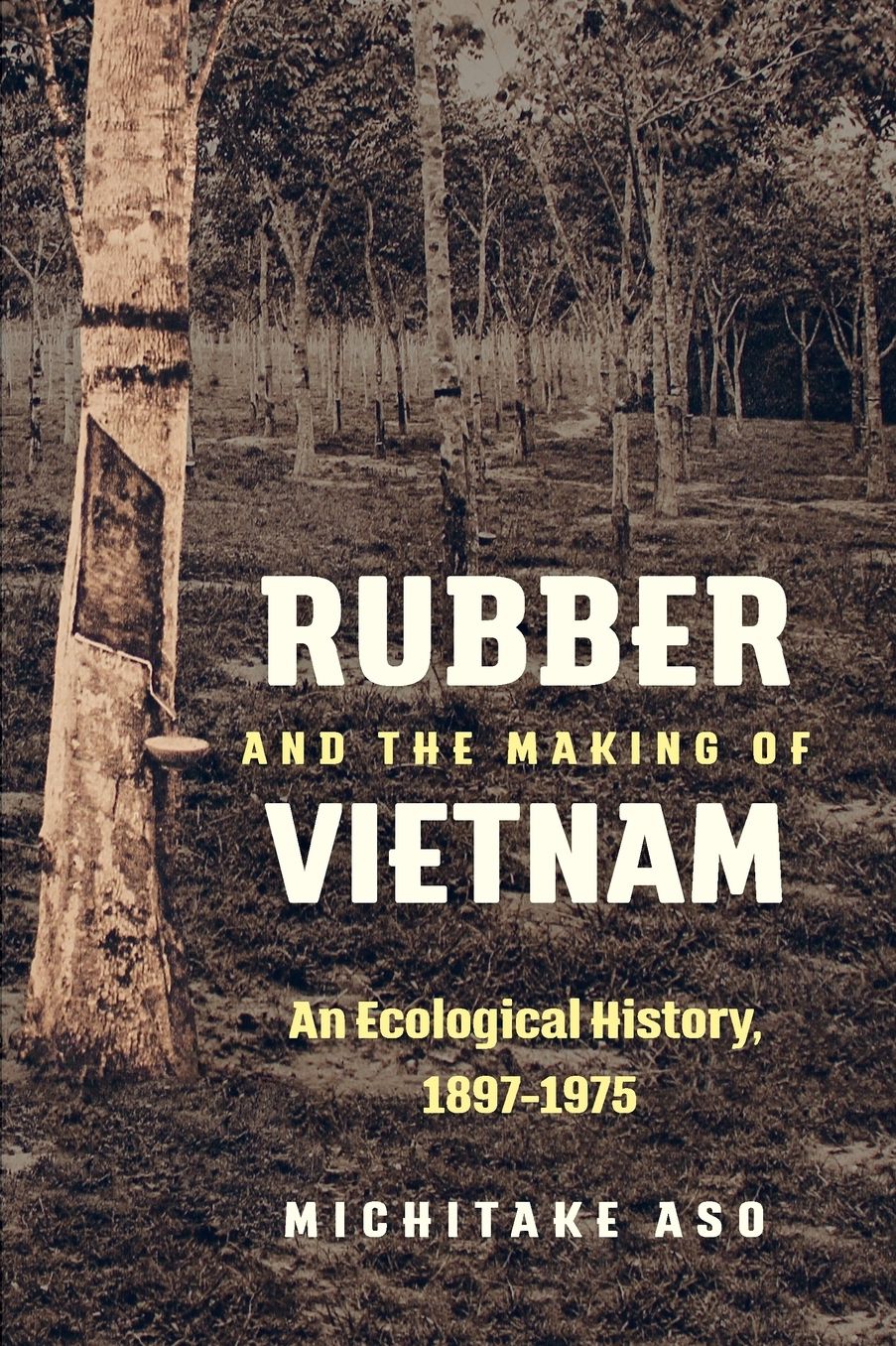 Rubber and the Making of Vietnam : An Ecological History 1897-1975
