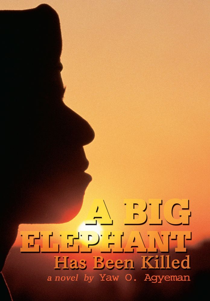 A Big Elephant Has Been Killed: a novel