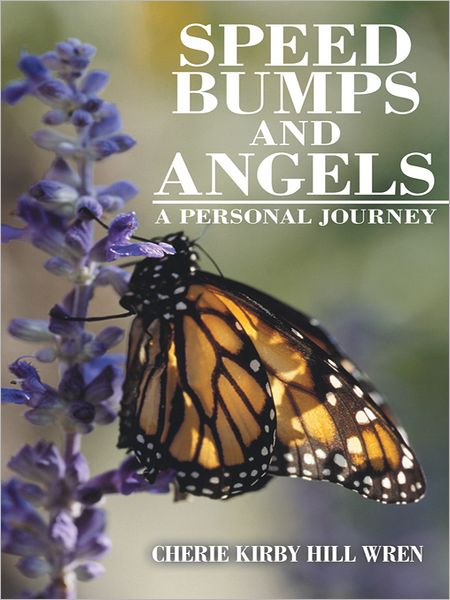 Speed Bumps and Angels: A Personal Journey