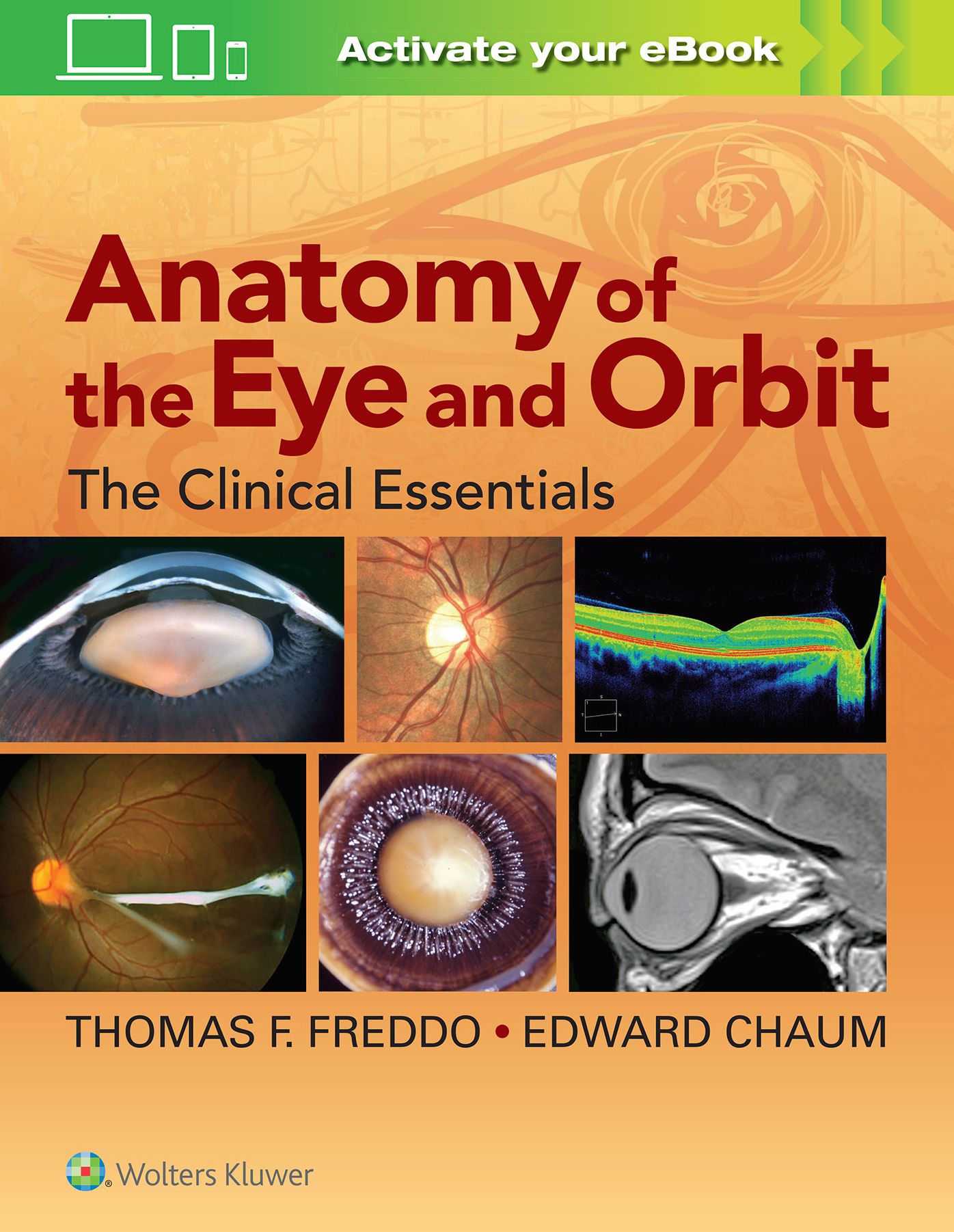 Anatomy of the Eye and Orbit: The Clinical Essentials