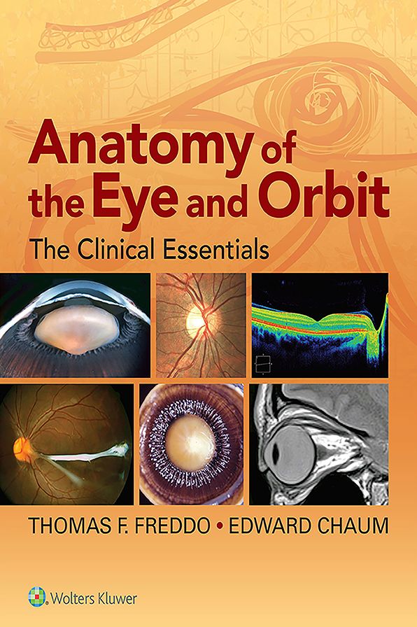 Anatomy of the Eye and Orbit: The Clinical Essentials