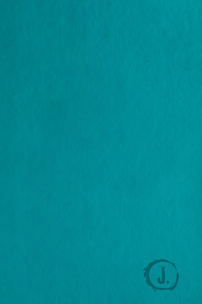 Jesus-Centered Bible NLT, Turquoise