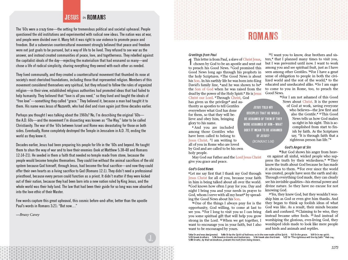 Jesus-Centered Bible NLT, Hardcover