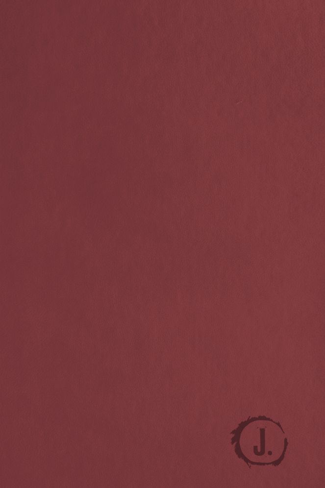 Jesus-Centered Bible NLT, Cranberry