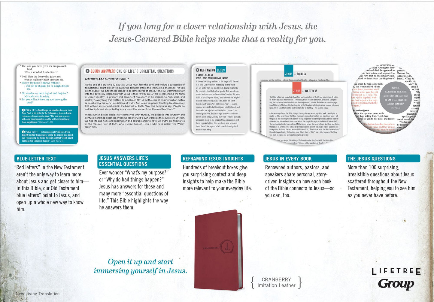 Jesus-Centered Bible NLT, Cranberry