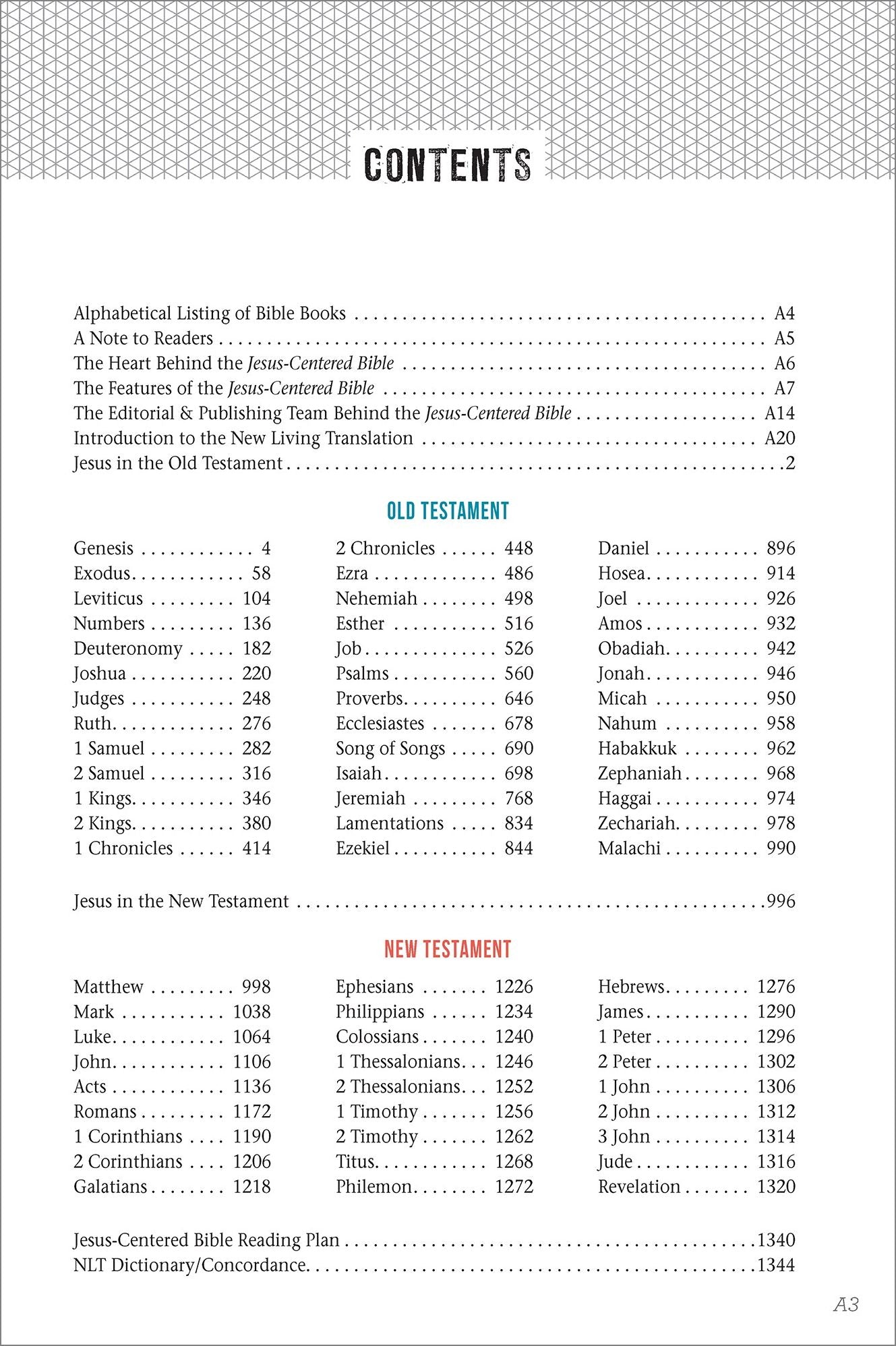 Jesus-Centered Bible NLT, Saddle