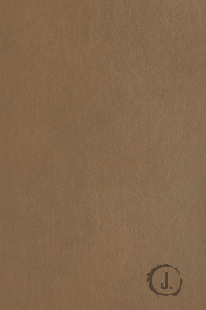 Jesus-Centered Bible NLT, Saddle