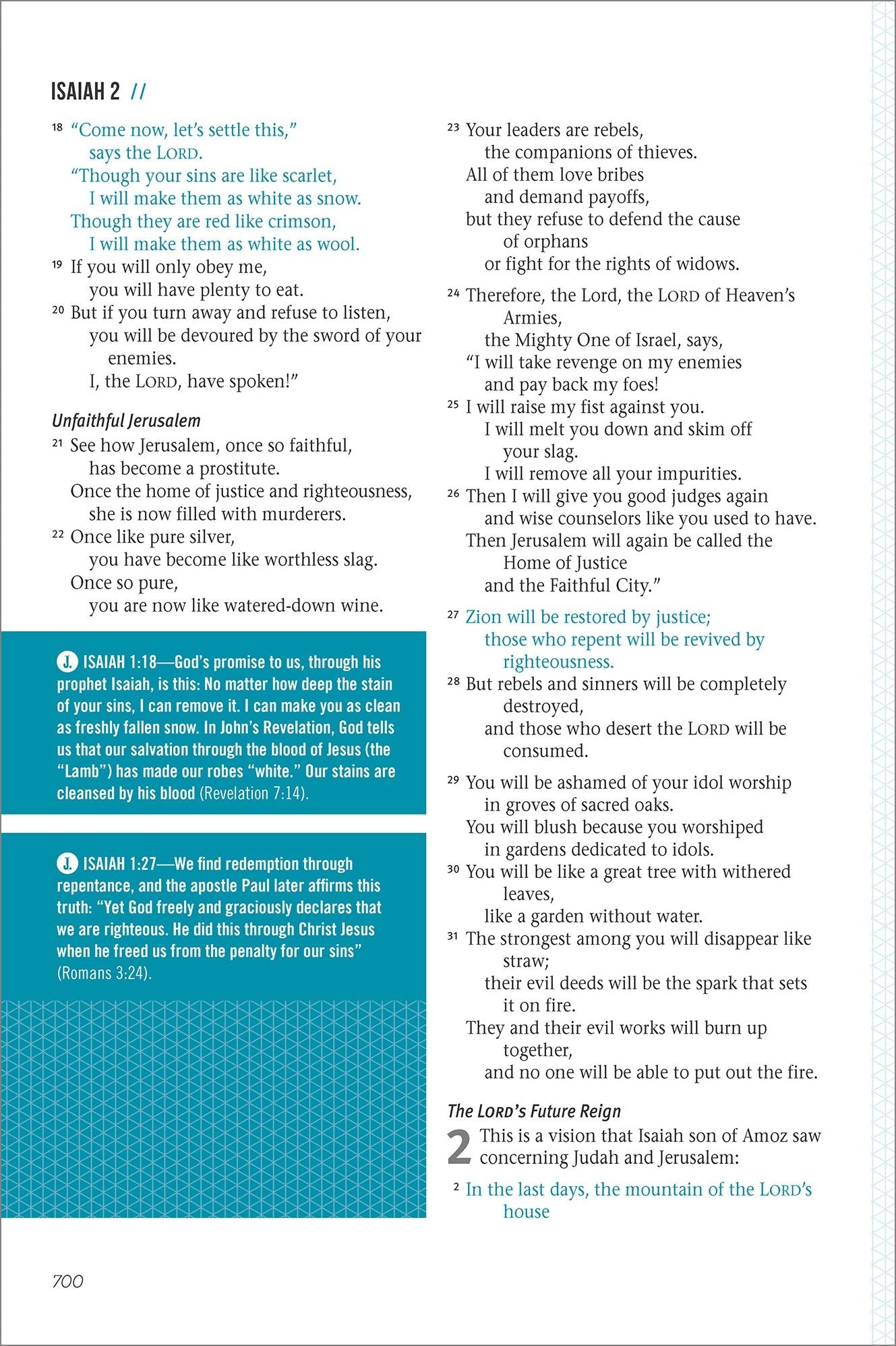 Jesus-Centered Bible NLT, Saddle