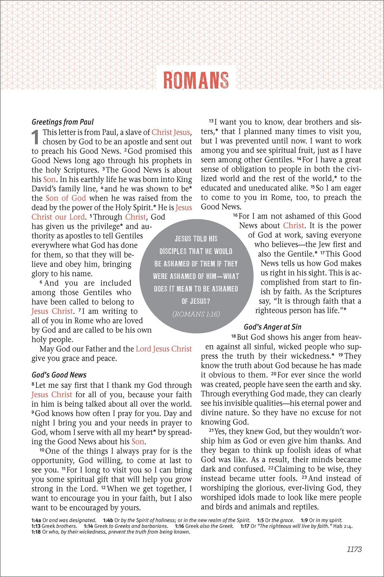 Jesus-Centered Bible NLT, Saddle