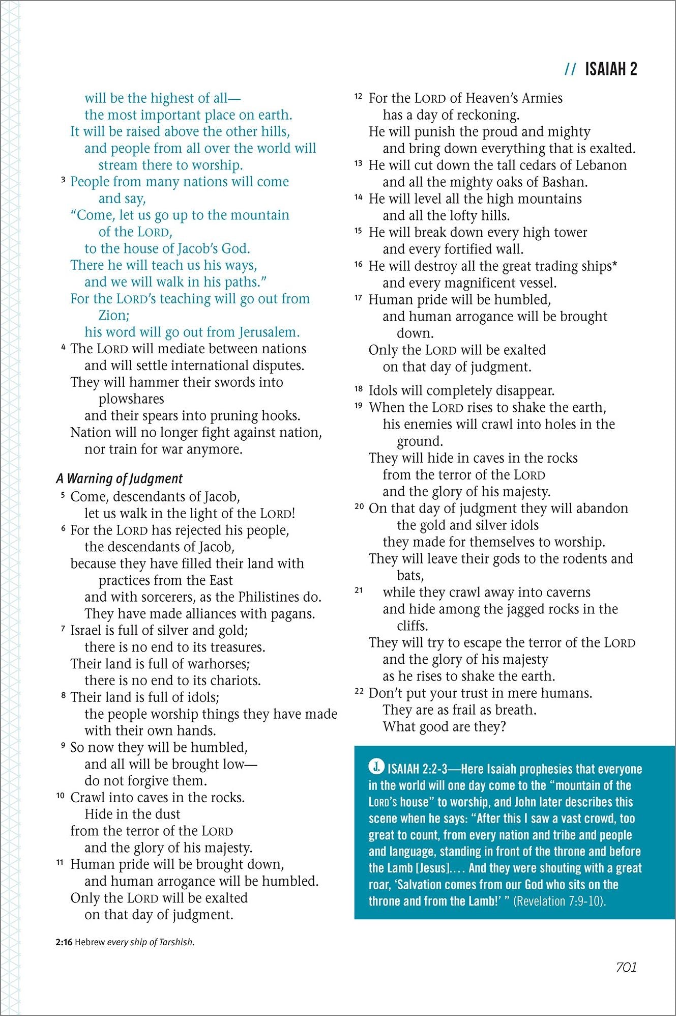 Jesus-Centered Bible NLT, Saddle