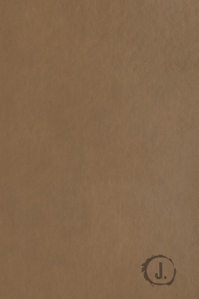 Jesus-Centered Bible NLT, Saddle